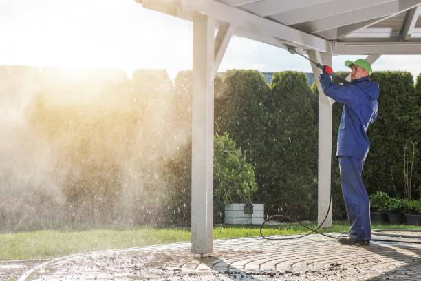 Best Post-Construction Pressure Washing  in Wolf Lake, MI